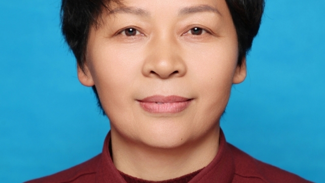 陈氏太极拳传承人——李萍