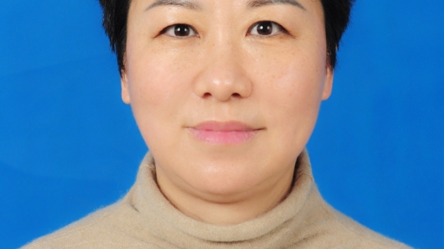 陈氏太极拳传承人——李虹