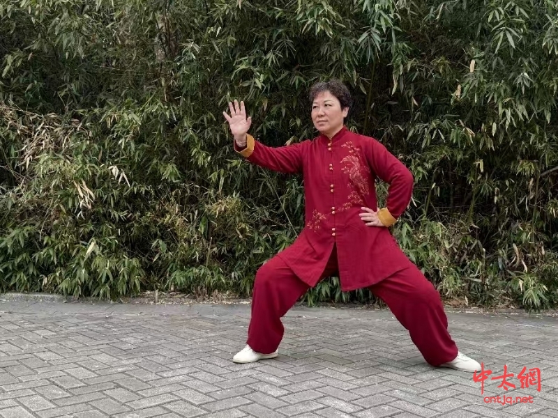 陈氏太极拳传承人——李虹